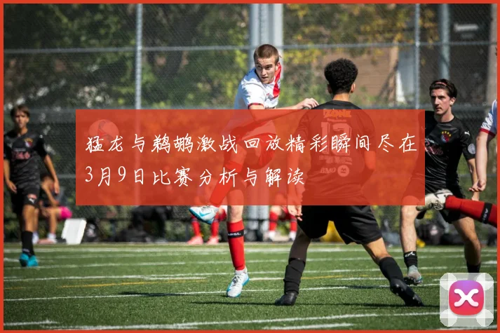 猛龙与鹈鹕激战回放精彩瞬间尽在3月9日比赛分析与解读