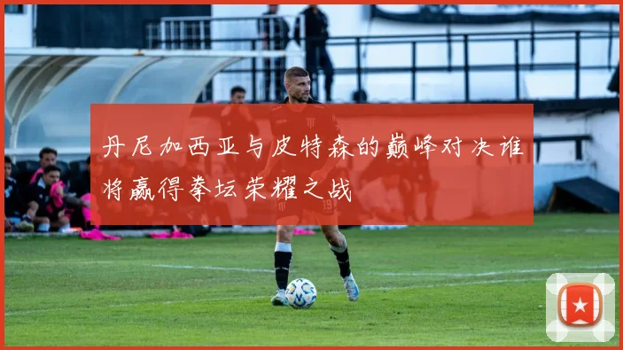 丹尼加西亚与皮特森的巅峰对决谁将赢得拳坛荣耀之战