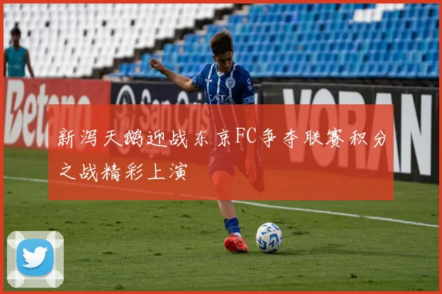 新泻天鹅迎战东京FC争夺联赛积分之战精彩上演