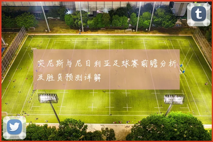 突尼斯与尼日利亚足球赛前瞻分析及胜负预测详解